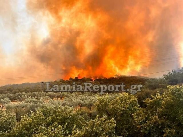 Φθιώτιδα: Προς Ελάτεια κατευθύνεται η φωτιά στην Κάτω Τιθορέα