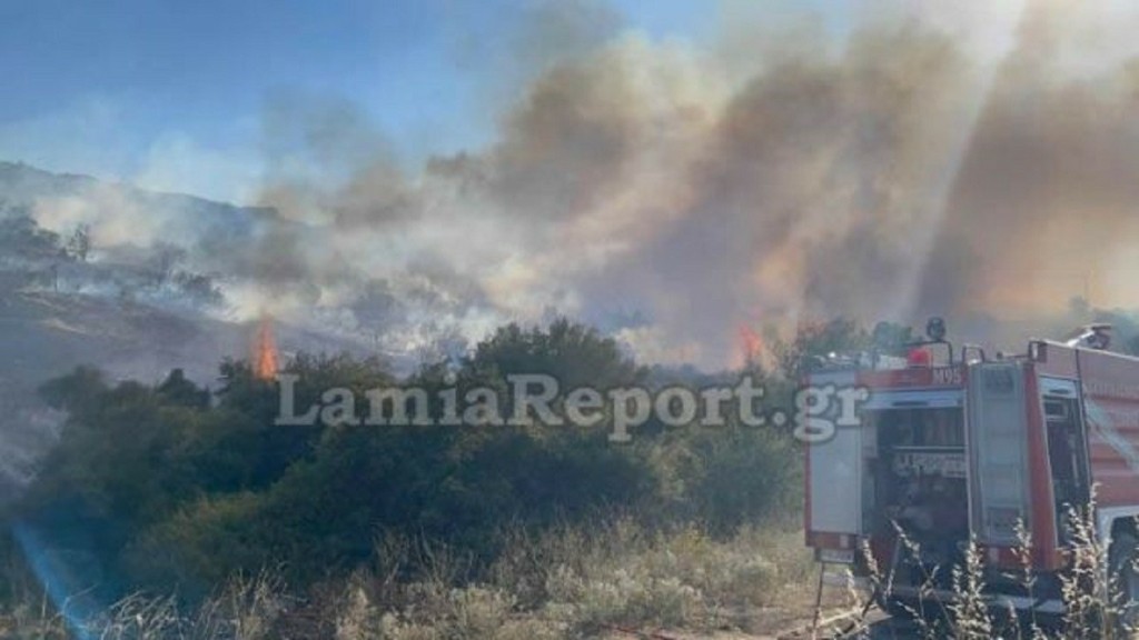 Οριοθετήθηκε η φωτιά στον Προφήτη Ηλία στη Λαμία (vid+pics)