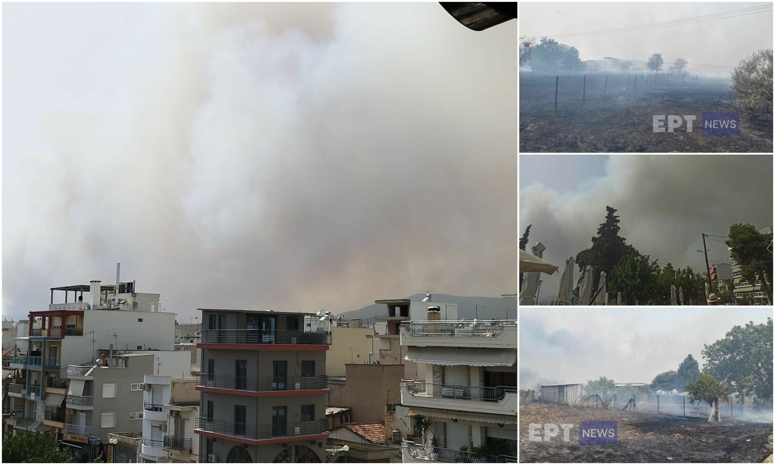 Φωτιές στη Μαγνησία: 112 για ετοιμότητα σε Βελεστίνο, Σέσκλο και Άγιο Γεώργιο Φερών – Καίγονται σπίτια – Έκλεισε η Εθνική οδός