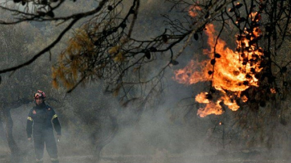 Φωτιά στον Βρανά Μαραθώνα – Τέθηκε υπό έλεγχο