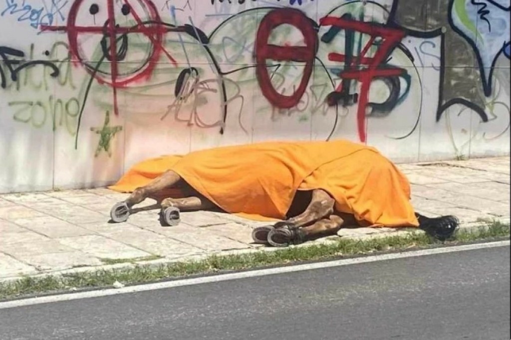 Αναβρασμός στην Κέρκυρα – Ελεύθερος με έναν όρο ο ιδιοκτήτης του αλόγου που ξεψύχησε σέρνοντας άμαξα