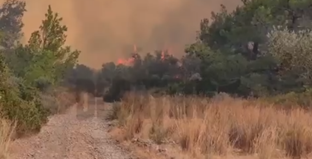 Φλέγεται για 8η μέρα η Ρόδος – Μεγάλη αναζωπύρωση της φωτιάς ανάμεσα σε Γεννάδι – Βατί (pics&vid)