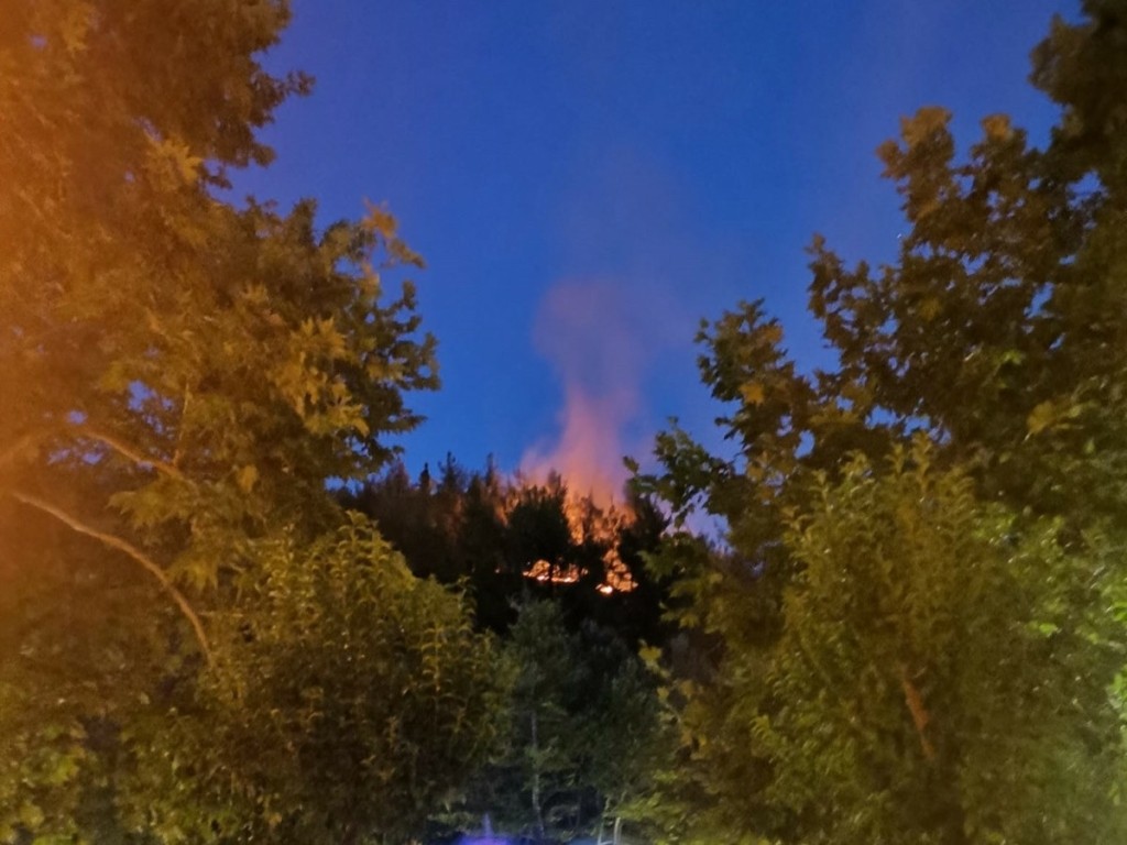 Φωτιά στην κοιλάδα των Αγίων Αναργύρων στις Σέρρες – Τέθηκε άμεσα υπό μερικό έλεγχο