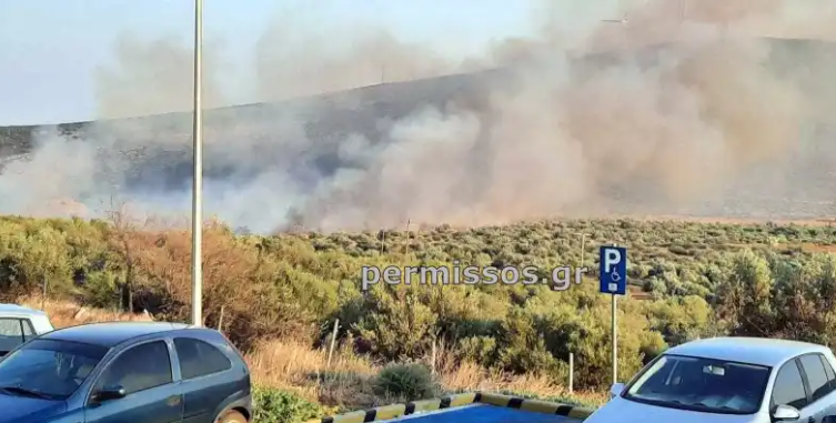 Οριοθετήθηκε η πυρκαγιά στον Πρόδρομο Βοιωτίας