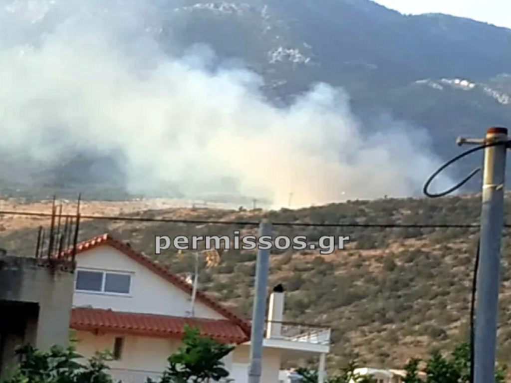 Φωτιά στον Πρόδρομο Βοιωτίας – Στάλθηκε μήνυμα από το 112