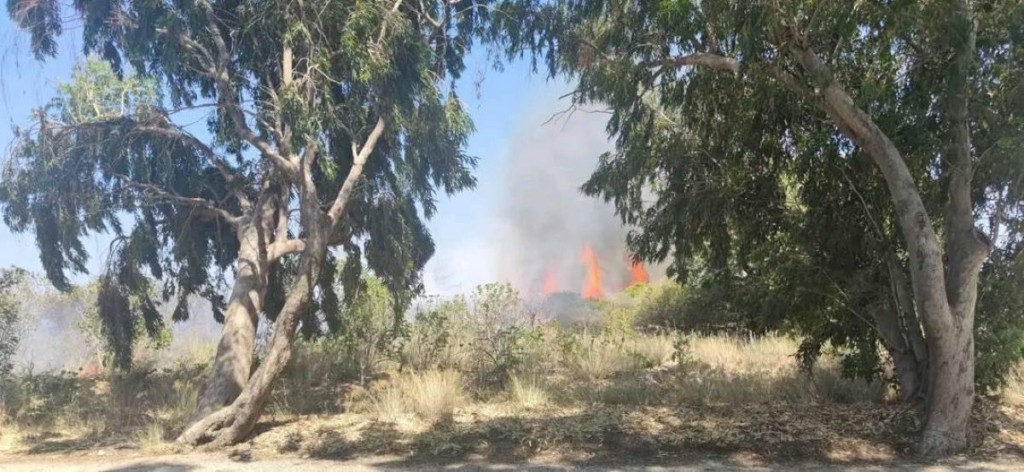 Φωτιά τώρα στην Ρόδο – Μάχη με τις φλόγες οι πυροσβέστες