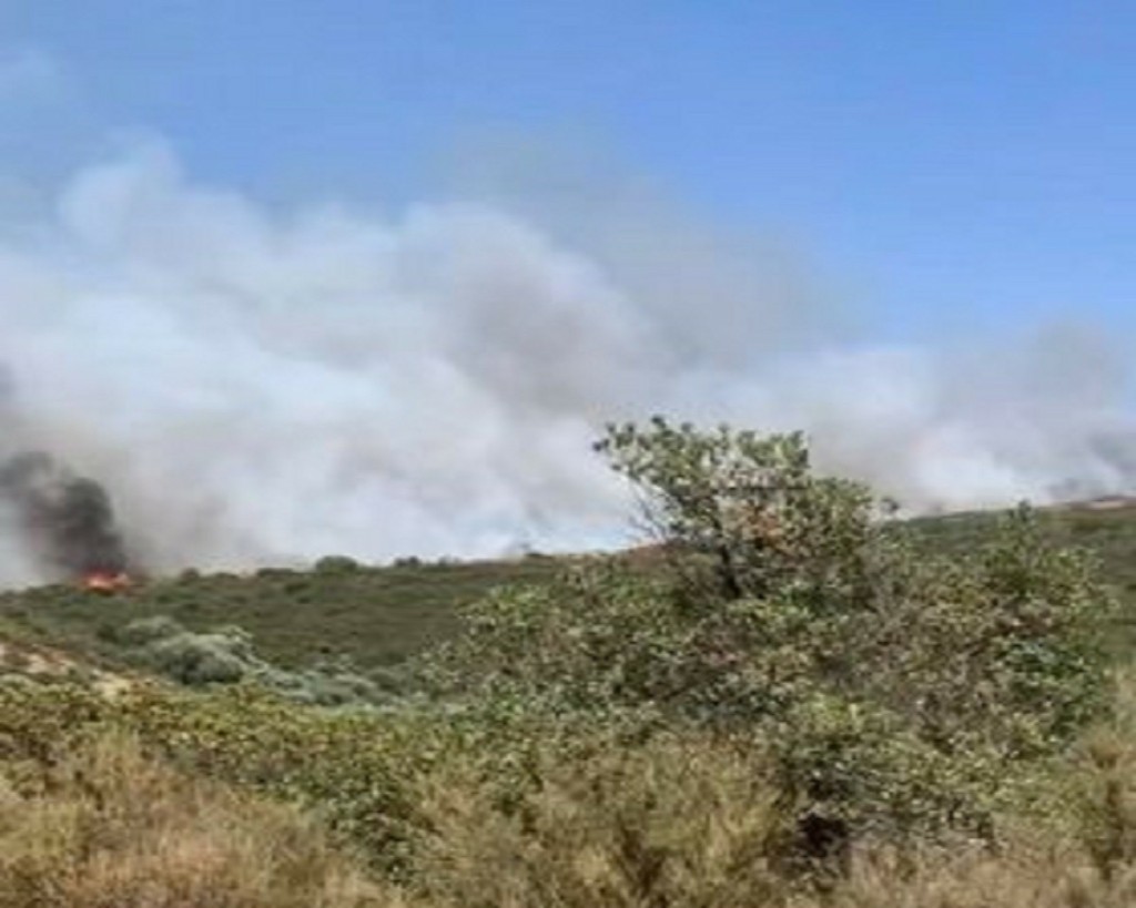 Φωτιά στη Λακωνία: Μάχη με τις αναζωπυρώσεις σε Πυρί και Λυκοβουνό