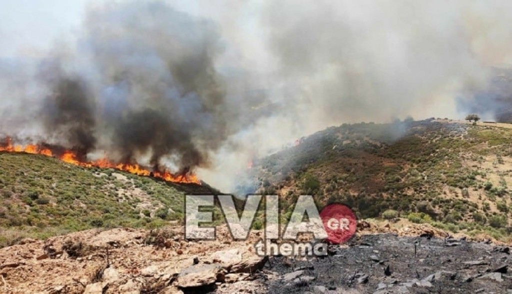 Φωτιά στην Εύβοια: Πύρινη κόλαση στην Κάρυστο – Αγνοείται κάτοικος του Πλατανιστού