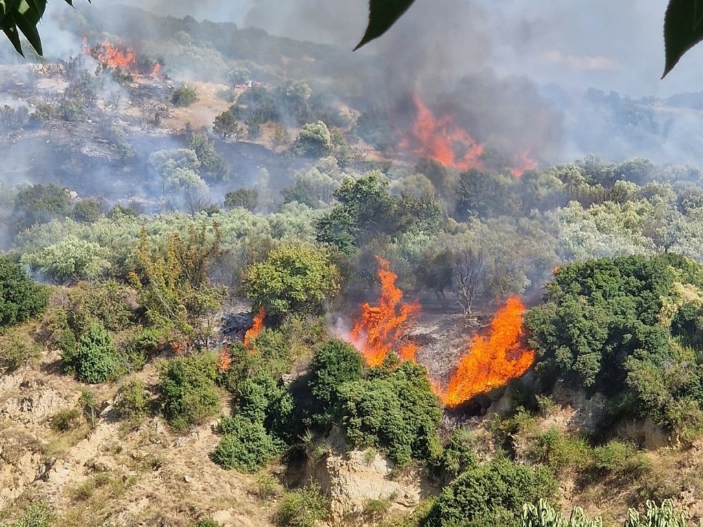 Φωτιά στο Βαμβακόφυτο Σερρών