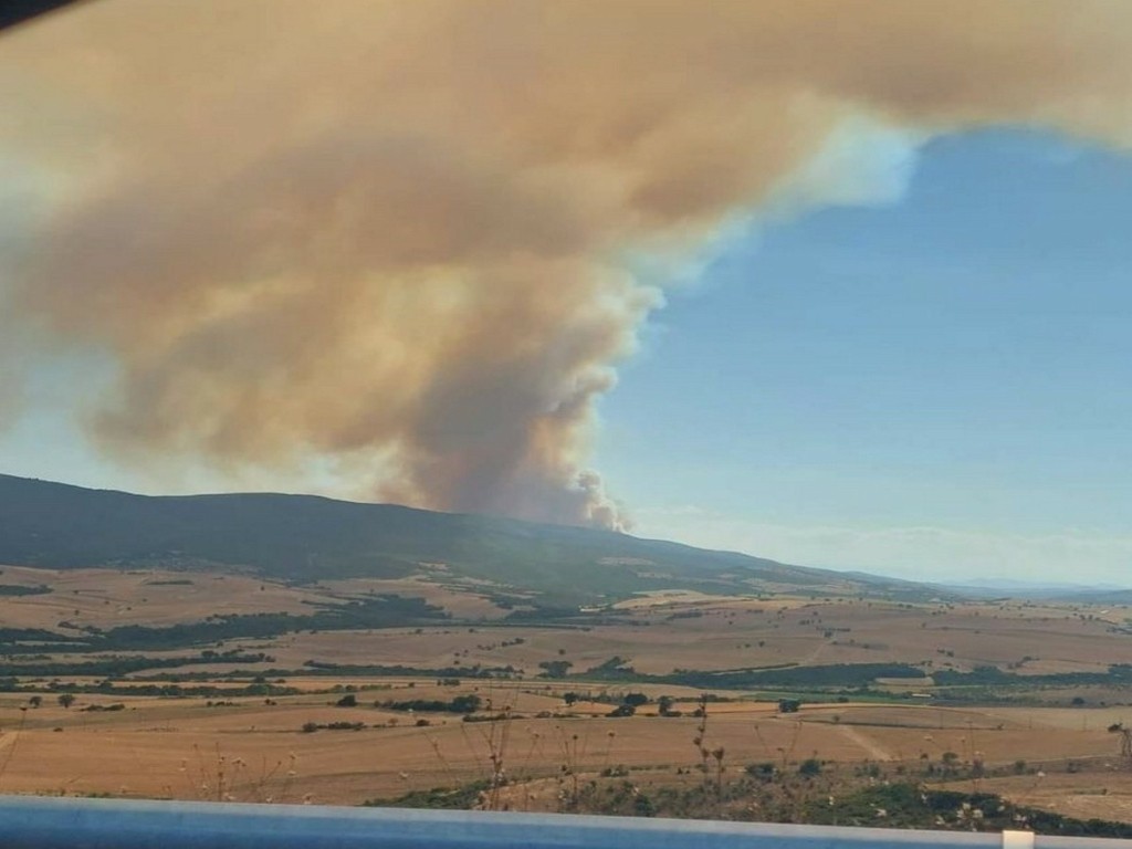 Φωτιά στα Φάρσαλα: Μάχη με τις φλόγες οι Πυροσβέστες