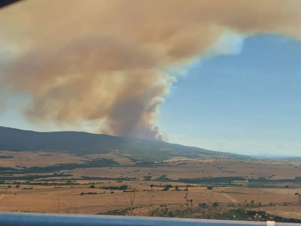 Φωτιά στα Φάρσαλα: Μάχη με τις φλόγες οι Πυροσβέστες