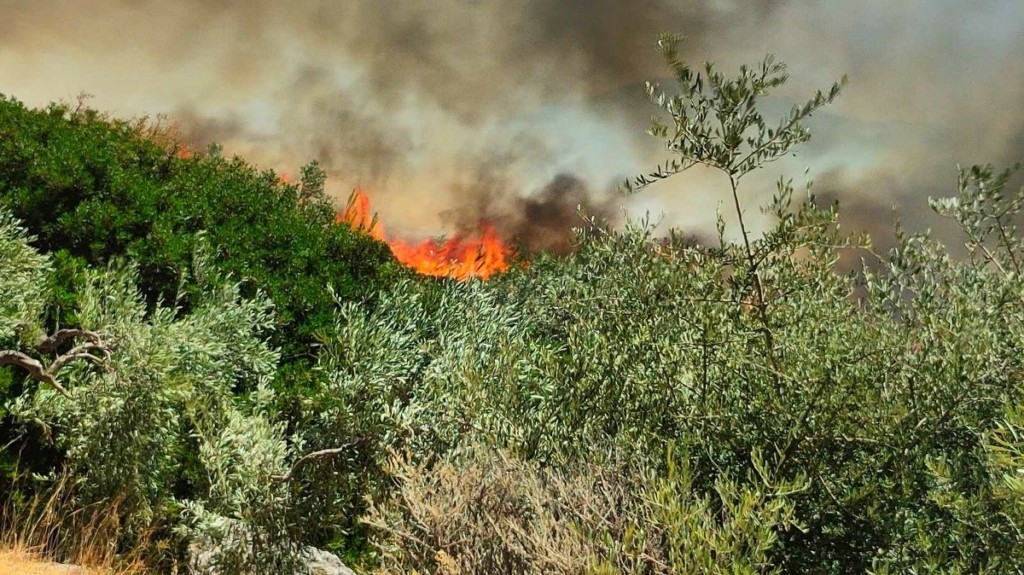 Φωτιά στη Βοιωτία: Αναζωπύρωση και μήνυμα του 112