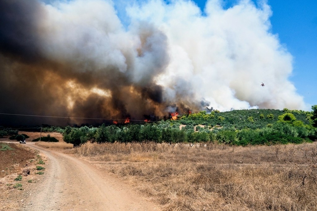 Φωτιά στην Εύβοια: Σε ετοιμότητα πλωτό του Λιμενικού και ιδιωτικά σκάφη στην Αρτάκη