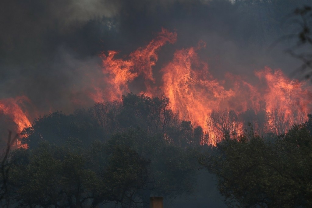 Φωτιά στον Έβρο: Ολονύχτια μάχη με τις φλόγες – Απειλεί χωριά και οικισμούς η πύρινη λαίλαπα