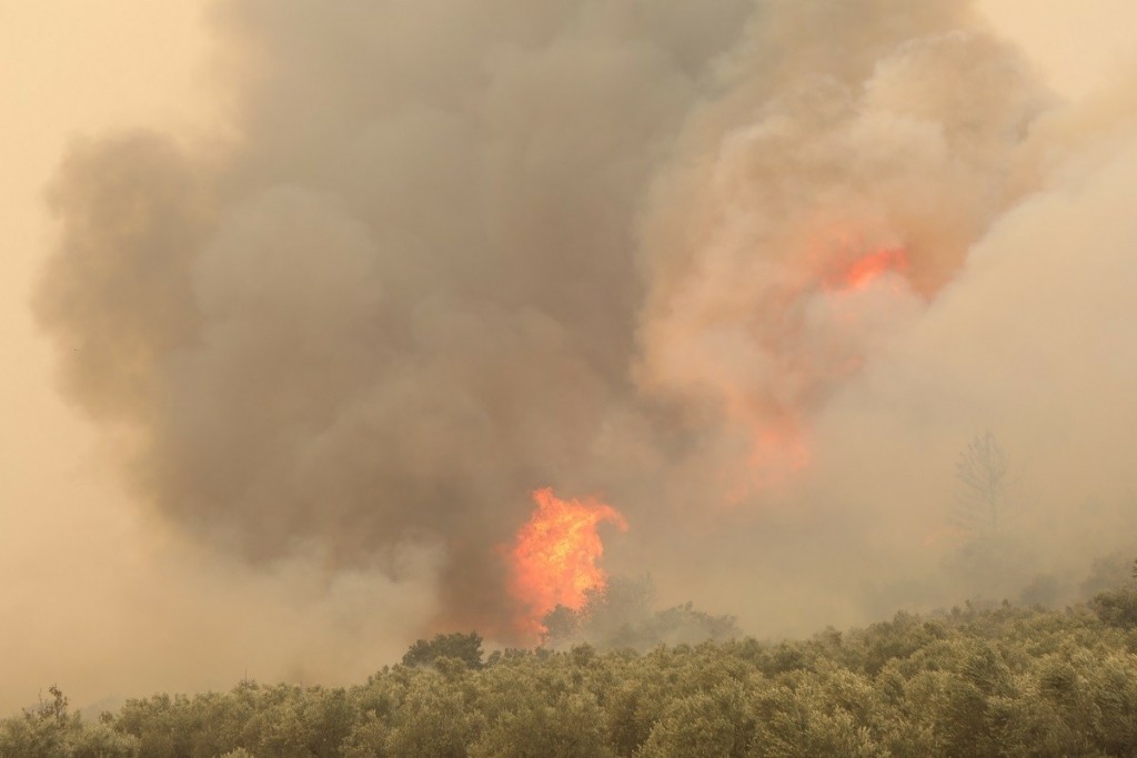 Φωτιά στον Έβρο: Δυο παιδιά ανάμεσα στους 18 απανθρακωμένους μετανάστες στην Δαδιά