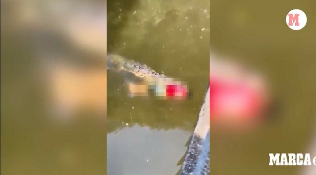 Σοκαριστικό βίντεο – Κροκόδειλος έφαγε ποδοσφαιριστή (vid)