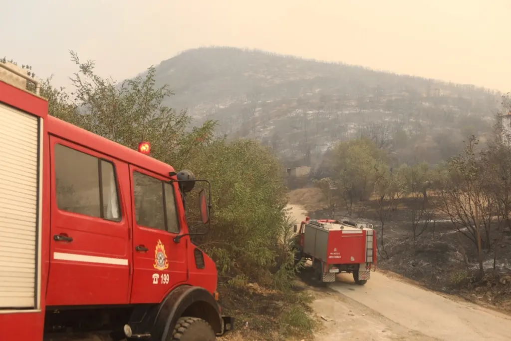 Συνεχίζεται η μάχη με τις φλόγες για 13η μέρα στη Δαδιά – Χωρίς ενεργό μέτωπο τα Φάρσαλα