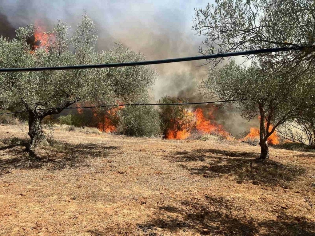Φωτιά στο Ασήμι Ηρακλείου