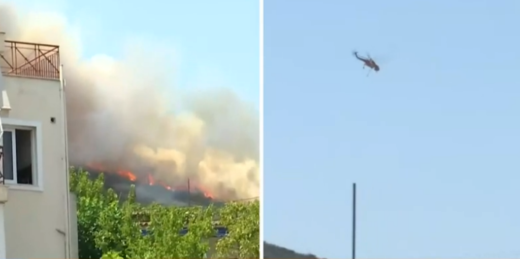 Φωτιά στην Πάρνηθα: 4 οι προσαγωγές για εμπρησμούς σε Αυλώνα και Μενίδι – Τους “τσάκωσαν” με αναπτήρες και σπρέι (vid)