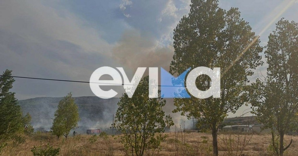 Νέα μεγάλη φωτιά στην Εύβοια στο Δοκό Χαλκίδας