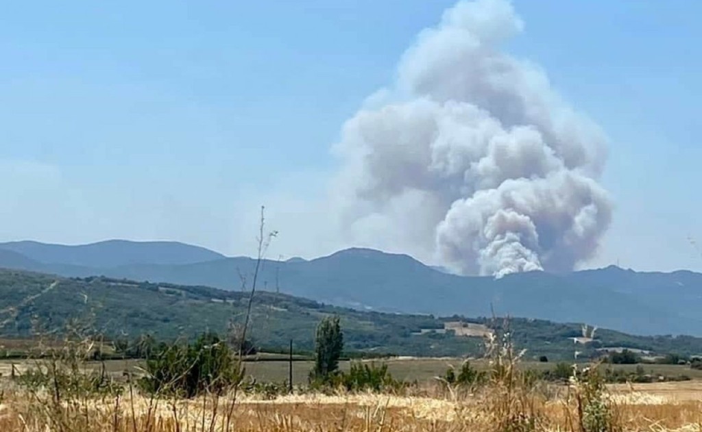 Πύρινη κόλαση στην Αλεξανδρούπολη – Φωτιά και στο δάσος της Δαδιάς