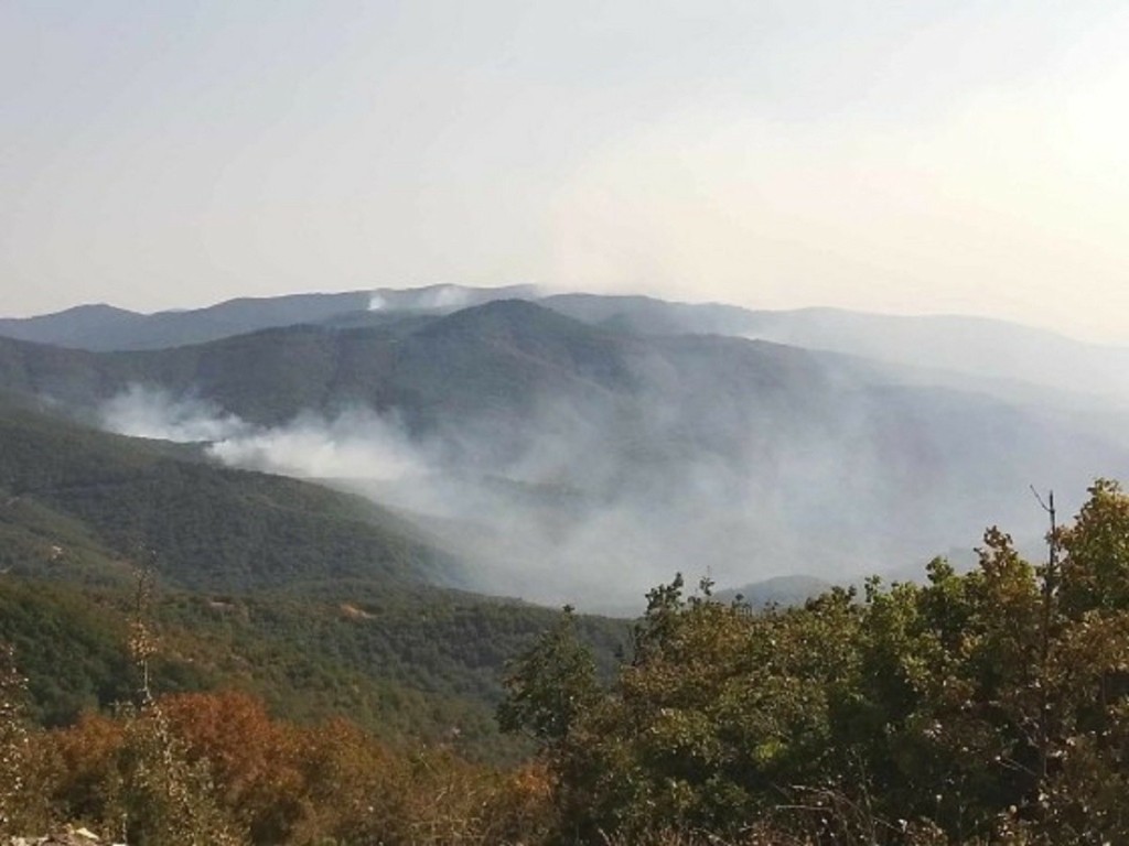 Φωτιά στον Έβρο: Μαίνεται η μάχη με τις φλόγες – Νέο μήνυμα του 112 για εκκενώσεις
