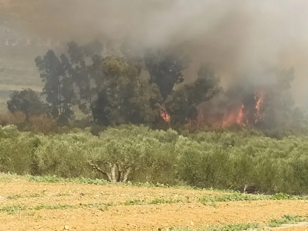 Φωτιά ανάμεσα σε Βενεράτο και Κυπαρίσσι στο Ηράκλειο