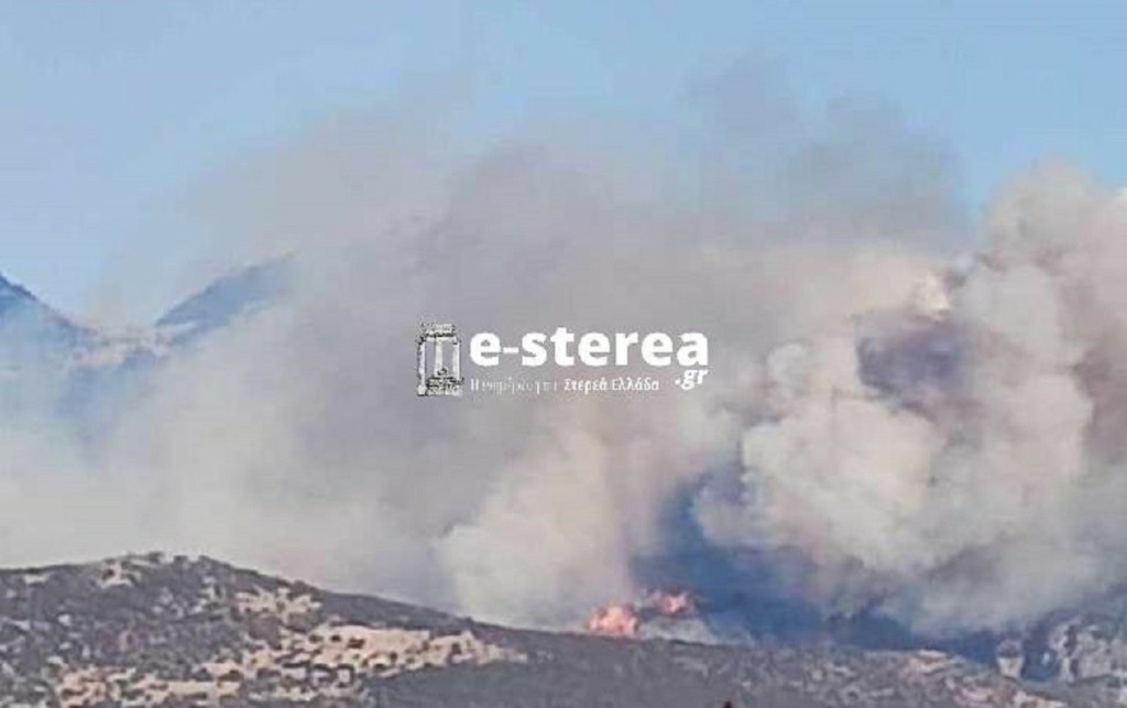 Φωτιά στο Δίστομο Βοιωτίας