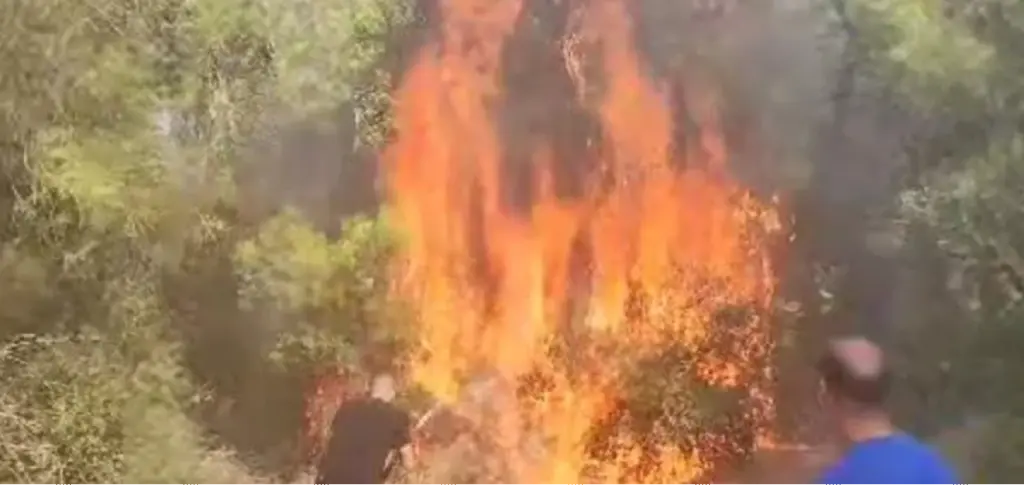 Οριοθετήθηκαν οι φωτιές σε Φθιώτιδα και Σκύρο