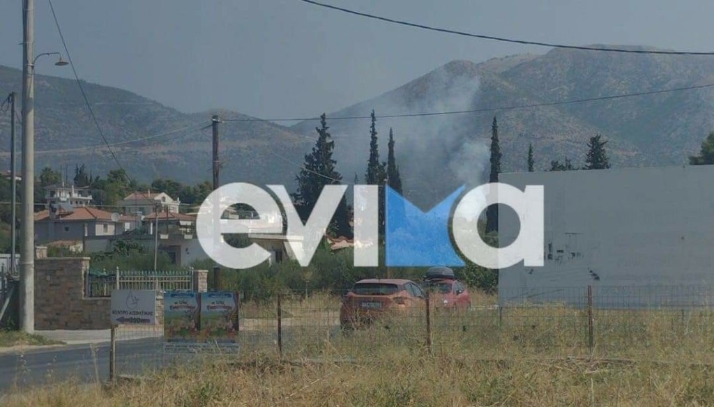 Φωτιά τώρα στην Ερέτρια – Κοντά σε σπίτια και ξενοδοχεία οι φλόγες (pics)