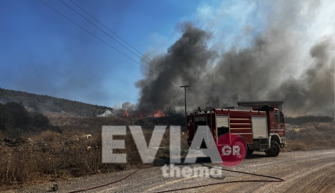 Μεγάλη φωτιά στην Εύβοια – Δύο τα μέτωπα στα Ψαχνά (pics&vid)