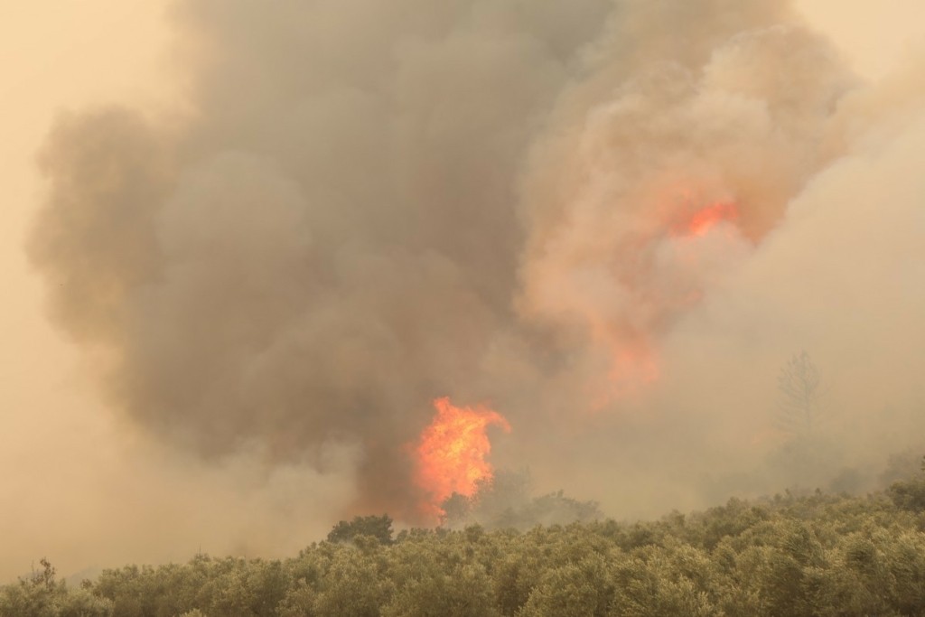 Παραλίγο να καούν 25 μετανάστες στο δάσος της Δαδιάς – Απεγκλωβίστηκαν από πυροσβέστες