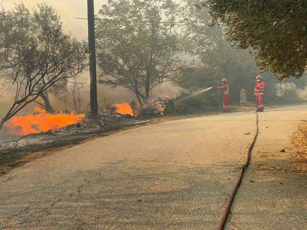 Φωτιά στην Αλεξανδρούπολη: Από σήμερα οι αιτήσεις για την ενίσχυση των πυρόπληκτων