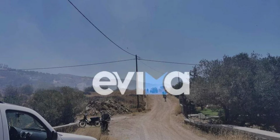 Φωτιά ΤΩΡΑ στην Κάρυστο – Ισχυροί άνεμοι στην περιοχή