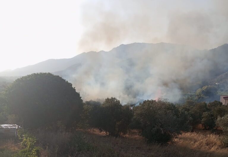 Φωτιά ΤΩΡΑ στη Μεσσηνία – Στην περιοχή Μάδενα