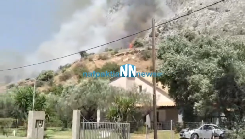 Μεγάλη φωτιά στο Κρυονέρι Ναυπακτίας – Δίπλα στα σπίτια οι φλόγες (vid)