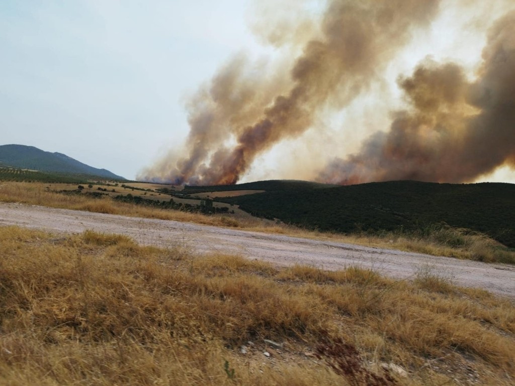 Χαλκιδική: Απαγόρευση κυκλοφορίας τη Δευτέρα σε περιοχές του δήμου Κασσάνδρας