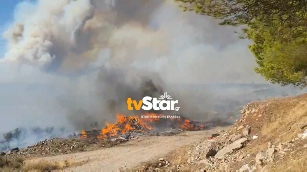 Νεκρός βοσκός στη φωτιά στον Πρόδρομο Βοιωτίας – Εκκενώνεται κάμπινγκ, απειλούνται δύο οικισμοί (vid)