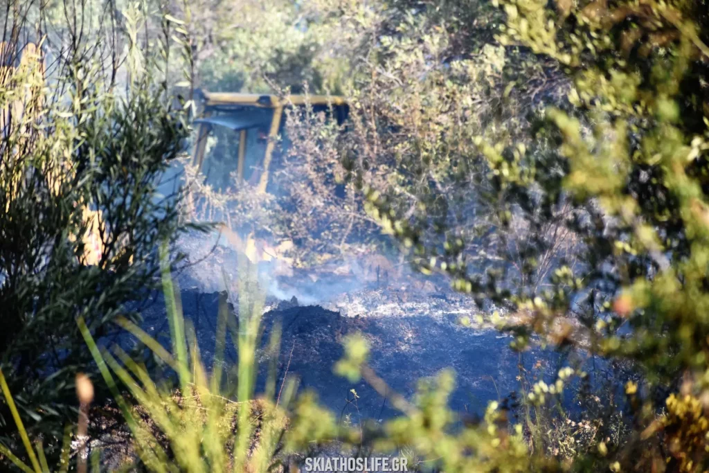 Οριοθετήθηκε η φωτιά στην Πούντα Σκιάθου