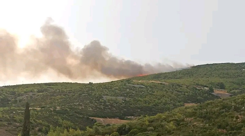 Φωτιά τώρα στον Μαραθώνα στην περιοχή του Γραμματικού – Πληροφορίες ότι είναι κοντά σε κατασκηνώσεις (pics)