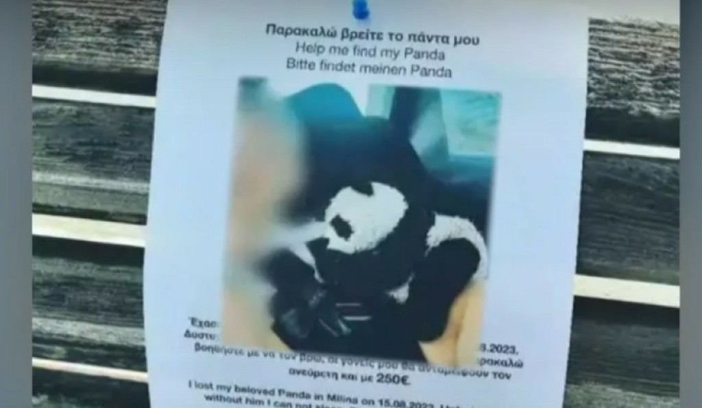 “Alert” για λούτρινο πάντα που έχασε παιδάκι στο Πήλιο – Δίνεται αμοιβή 250 ευρώ
