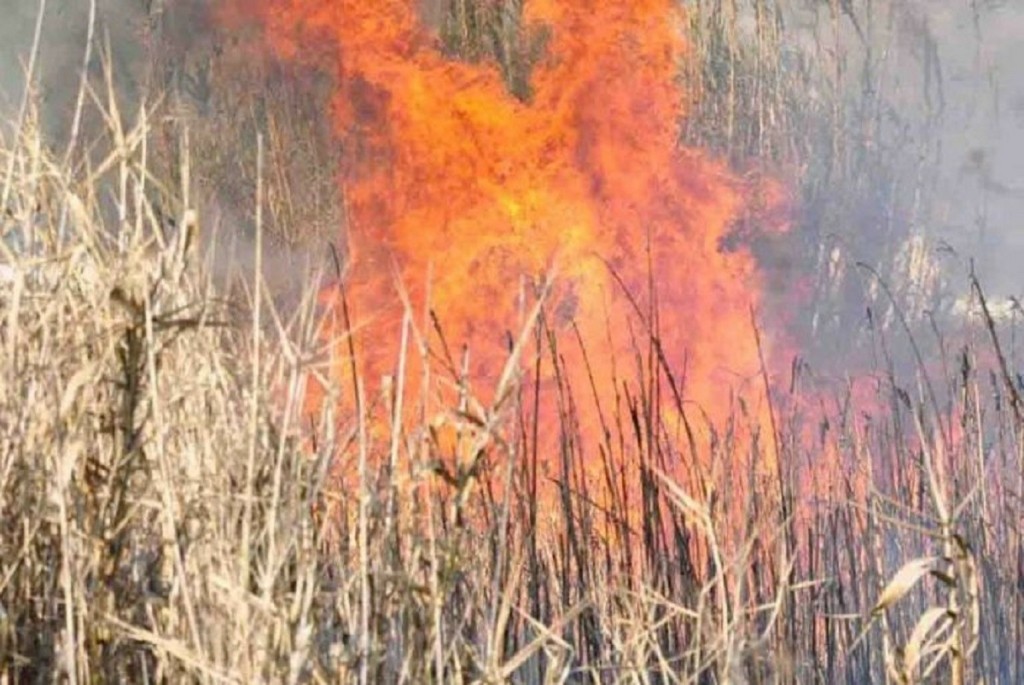 Υπό έλεγχο η φωτιά στον Ασπρόπυργο
