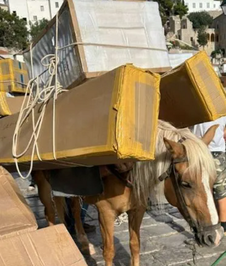 Εικόνες κακοποίησης ζώων στην Ύδρα – Αναγκάζουν γαϊδουράκια να κουβαλάνε βαριά αντικείμενα