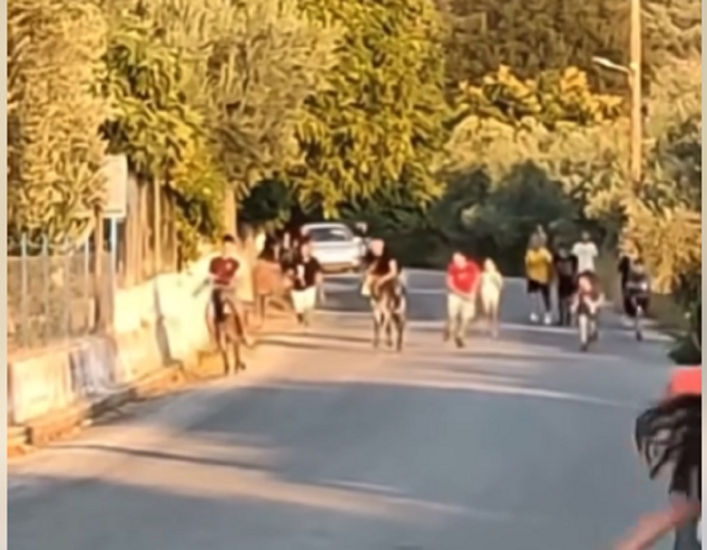 Σοκαριστικές εικόνες στην Κώμη Λέσβου – Μικρά παιδιά μαστιγώνουν γαϊδουράκια για.. έθιμο