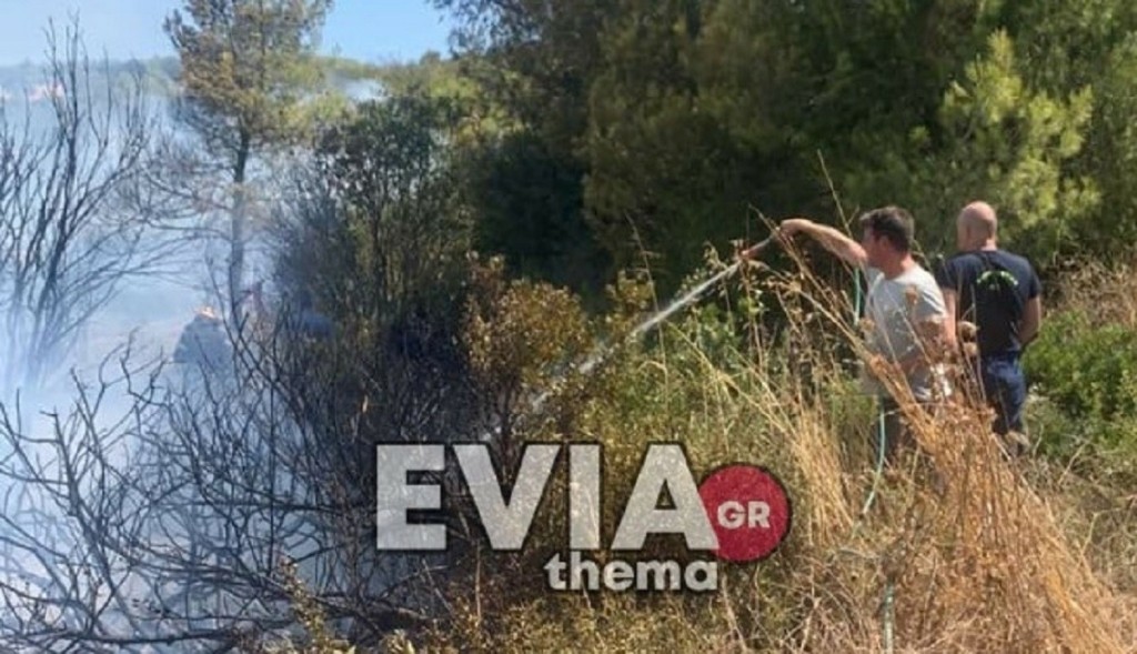 Φωτιά στον Πισσώνα Ευβοίας