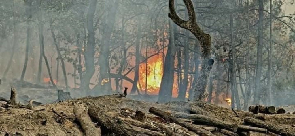 Φωτιά στον Έβρο: Μαίνεται για 14η μέρα η πύρινη «κόλαση» – 81 πυρκαγιές σε όλη τη χώρα