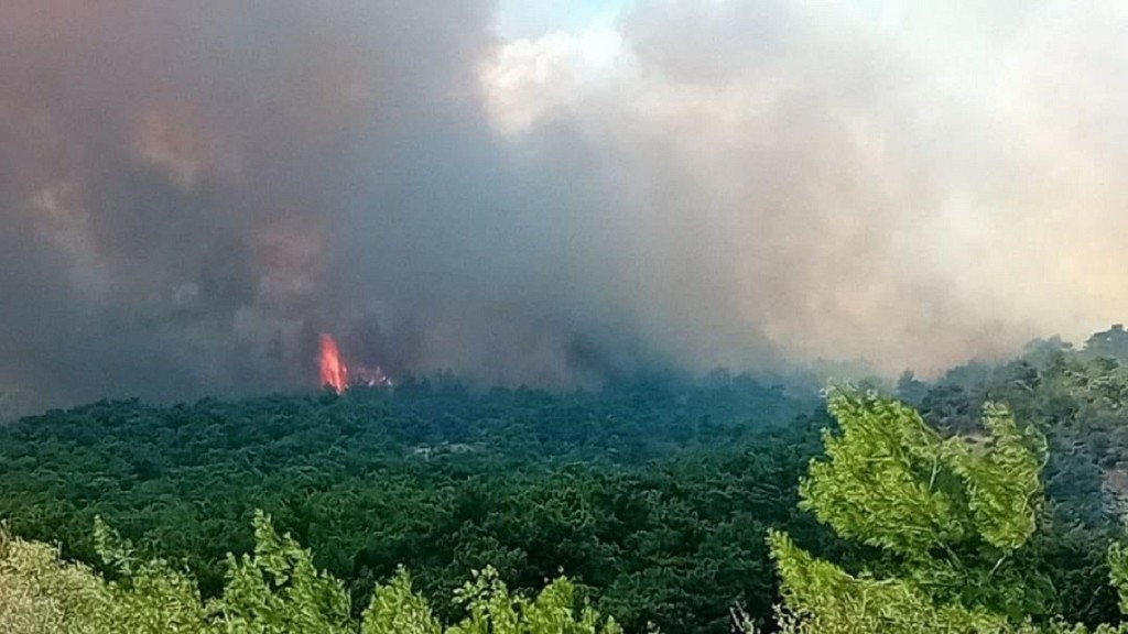 Υπό μερικό έλεγχο η πυρκαγιά σε αγροτοδασική έκταση στον Άγιο Ισίδωρο Μεσσηνίας