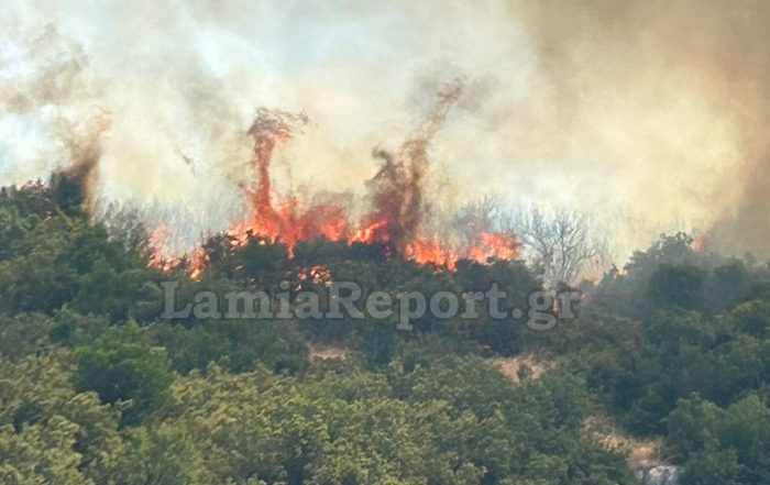Μεγάλη φωτιά τώρα στη Δίβρη Φθιώτιδας