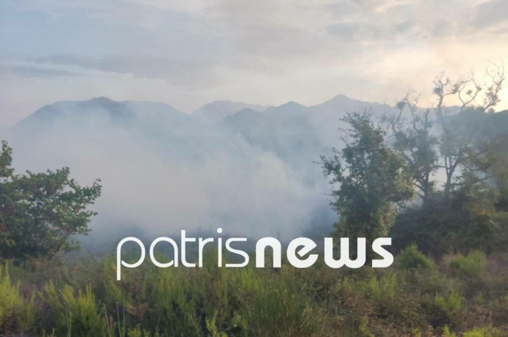 Υπό έλεγχο η φωτιά στην Πεύκη Ηλείας