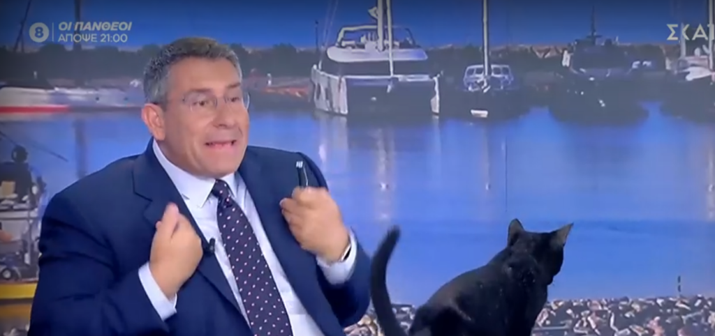 Η στιγμή που μαύρη γάτα “μπουκάρει” στο πλατό του ΣΚΑΪ – Χαμός στον αέρα (vid)